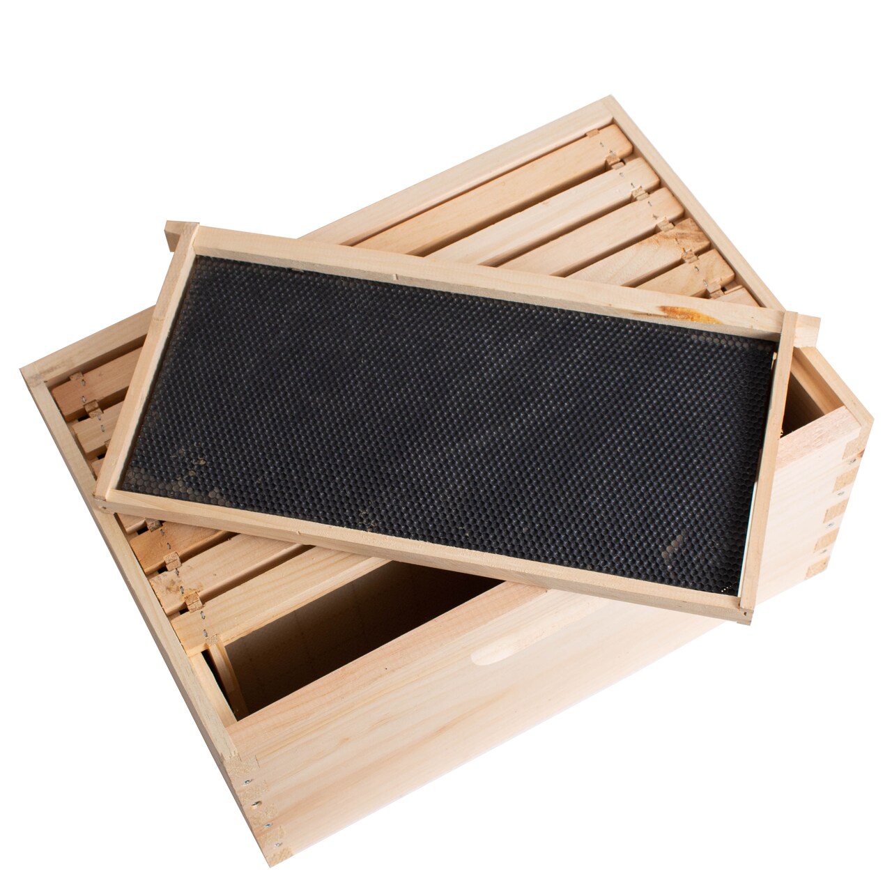 Stoney Acres Beekeeping Beehive Box, 8 Frame Deep Assembled Super or Brood Honeybee Hive Box with Plastic Foundation Frames, Amish Made